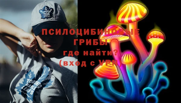 МДПВ Вязьма