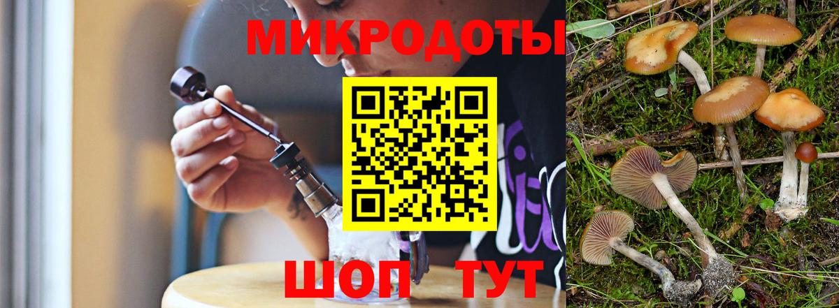 Галлюциногенные грибы Magic Shrooms Железногорск