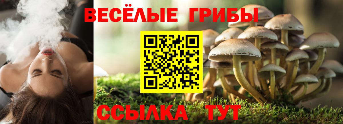Галлюциногенные грибы мицелий  Вход с VPN  Галлюциногенные грибы GOLDEN TEACHER  Железногорск 